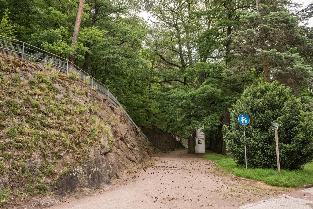 Loftwohnung Mit Sauna - Natur Und Kultur In Eisenach Erleben Und Geniessen 외부 사진